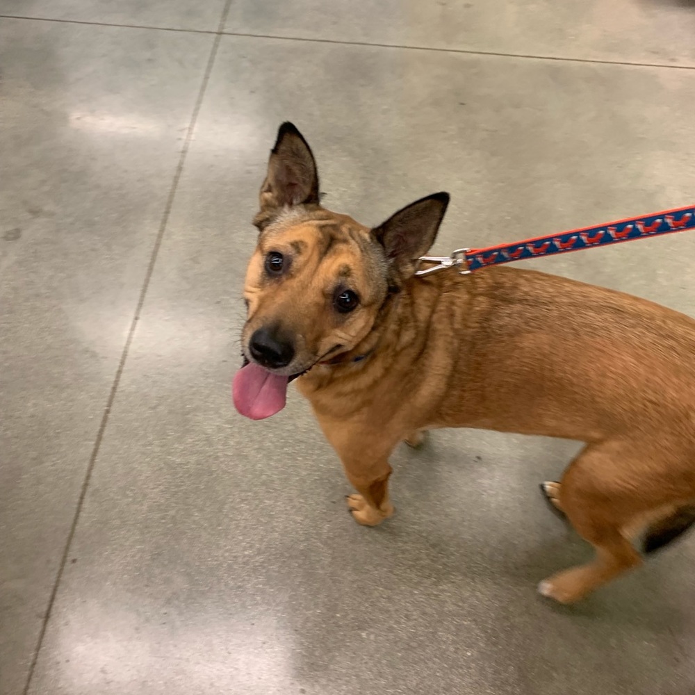 Meet your Posher, Jonathan